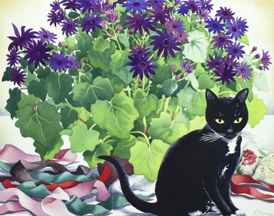 Senetti Plant and Cat by Christopher Ryland